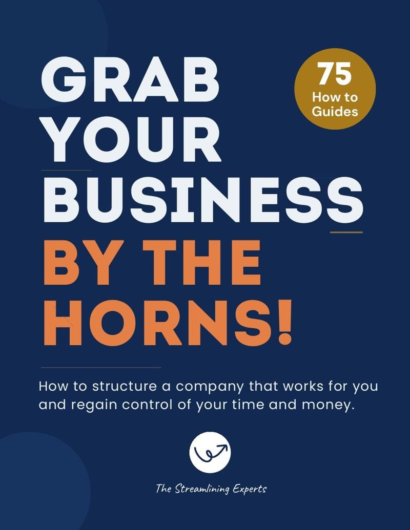 Grab Your Business By The Horns book cover